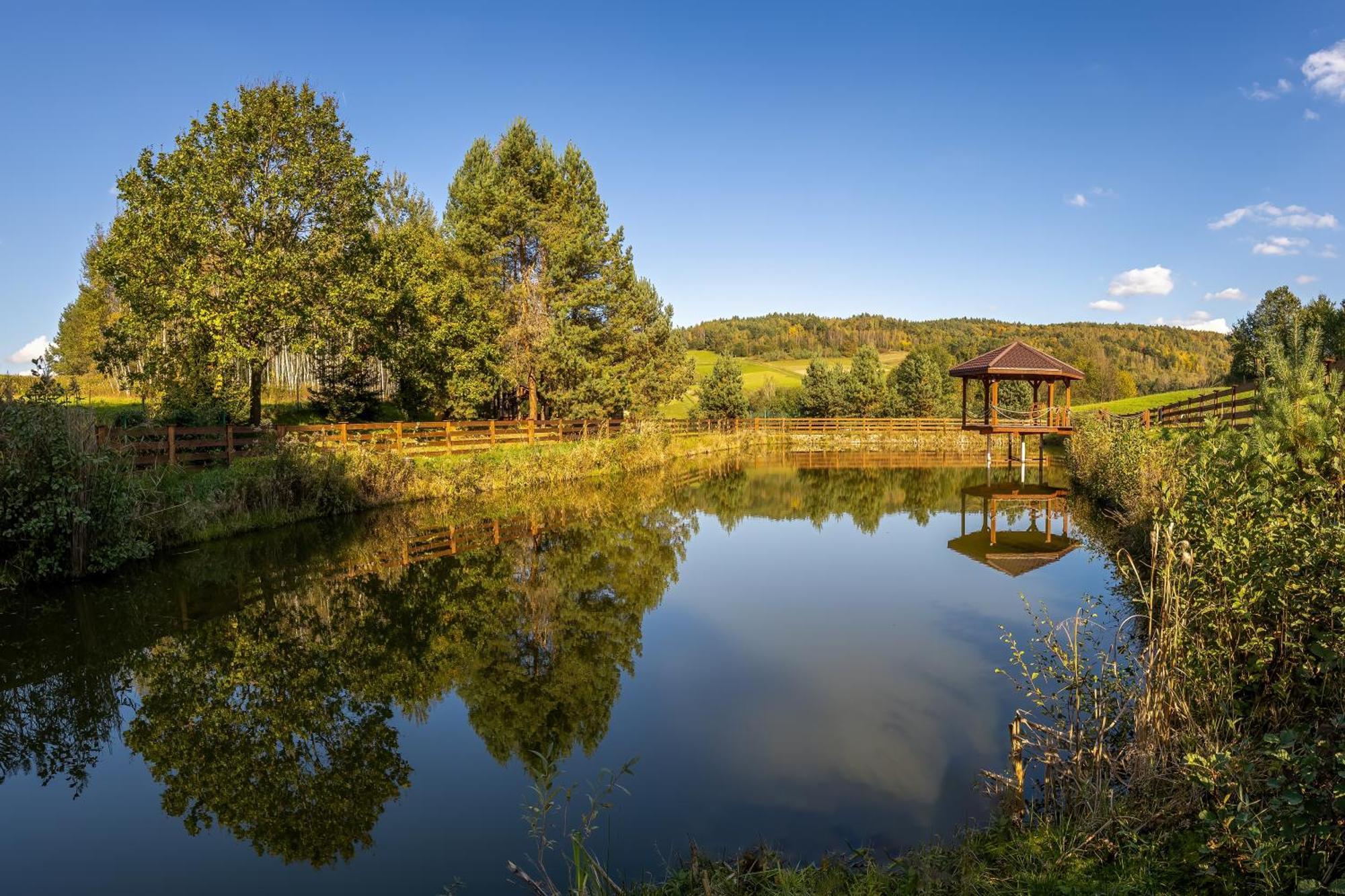 Glamping Pod Gwiazdami Pietrusza Wola Hotel Eksteriør billede