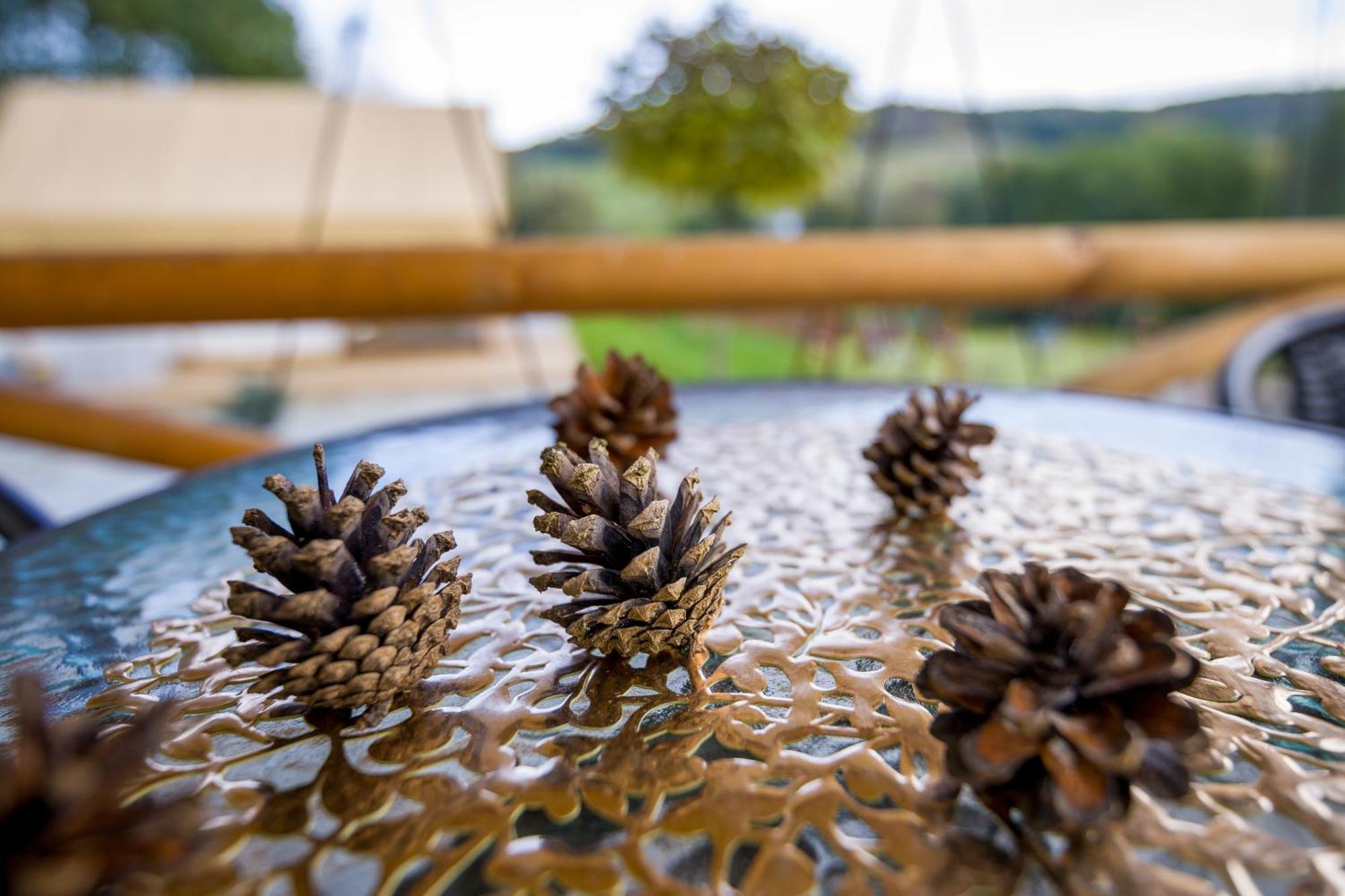 Glamping Pod Gwiazdami Pietrusza Wola Hotel Eksteriør billede